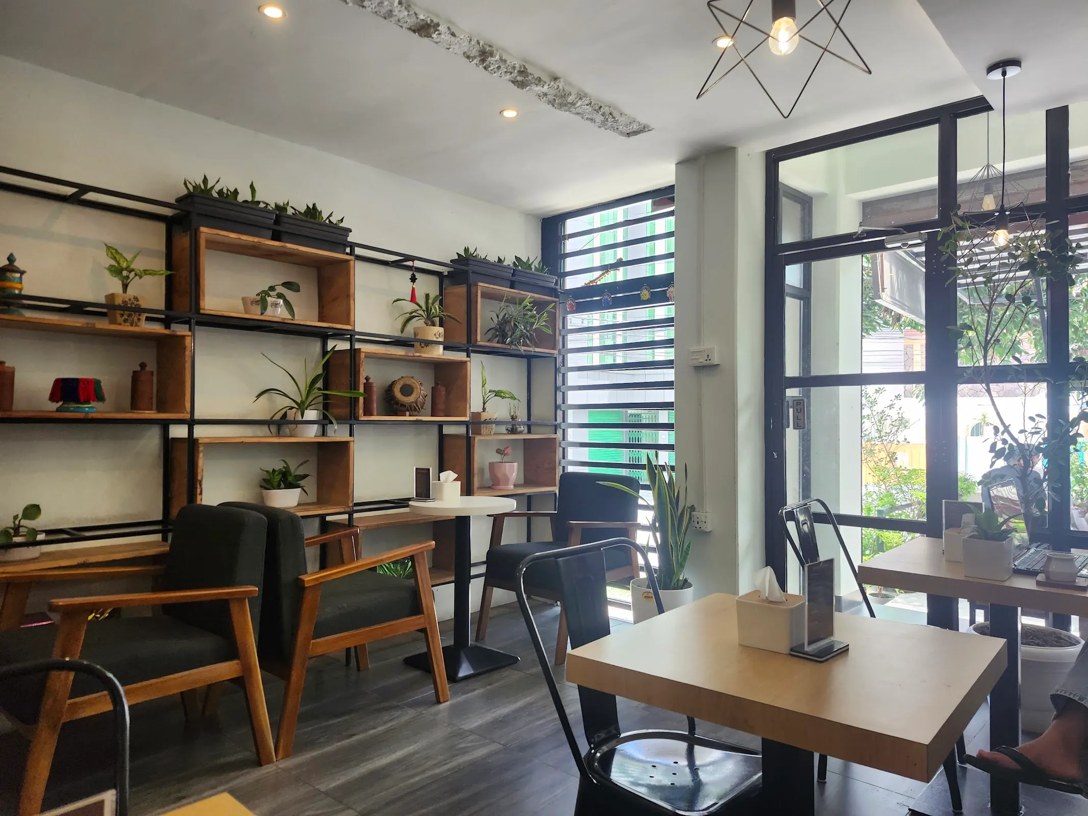 Plant-shelved nook with leather armchairs, large windows, and natural light